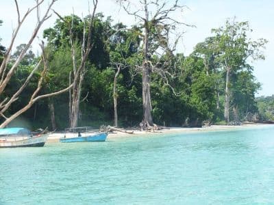 Inglis Island