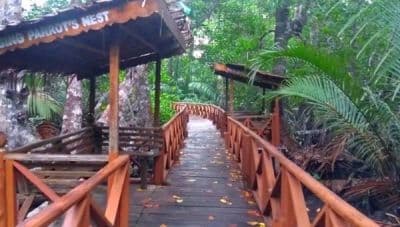 Dhani Nallah Mangrove Nature Walkway