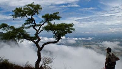 Nelliyampathy Hills