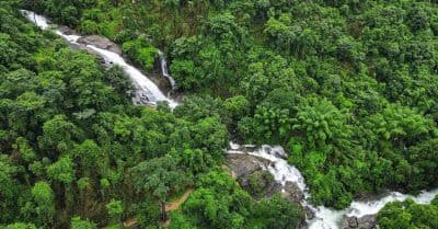 Thusharagiri Waterfalls