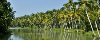 Poovar Island
