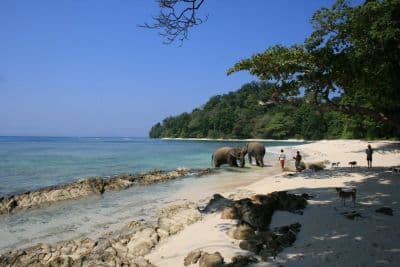 Inglis Island