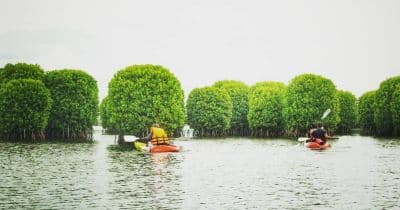 Kavvayi Backwaters