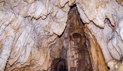 Limestone Caves