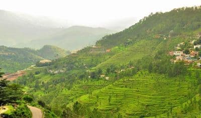 Simtola Eco Park