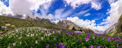 Valley of Flower National Park