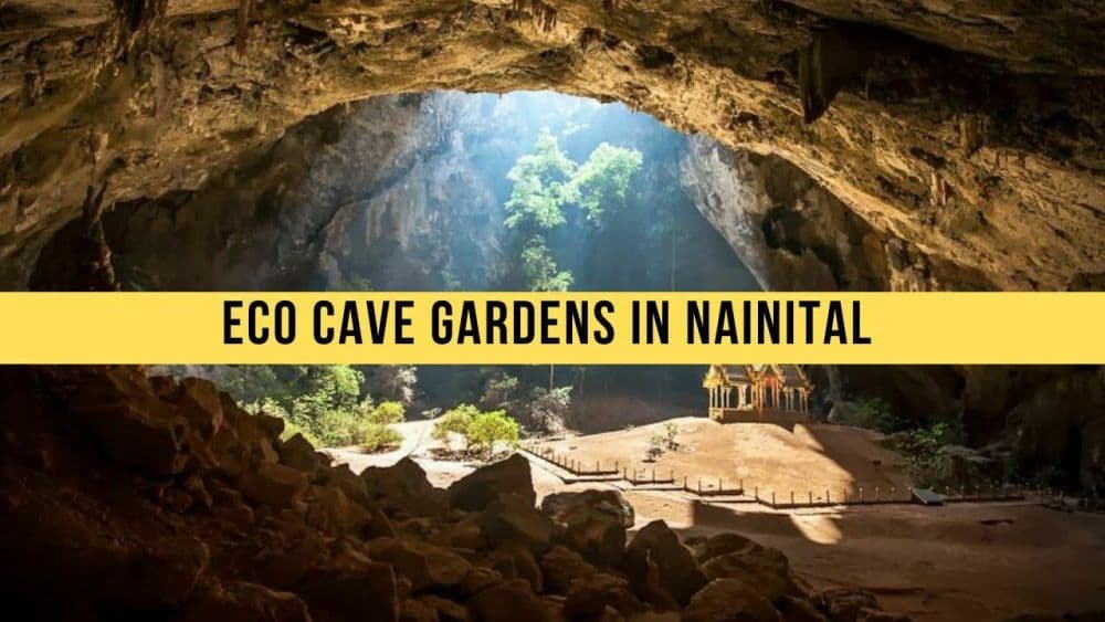 Eco Cave Gardens