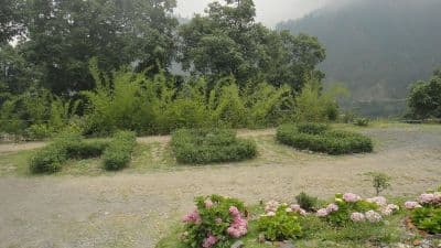 Nainital Botanical Garden