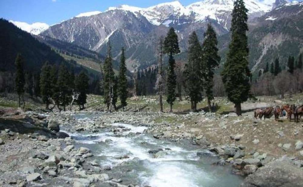 Hemkund Parvat