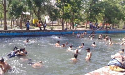 Lachhiwala
