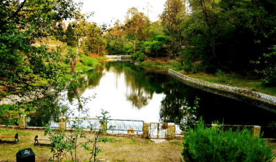Rani Jheel