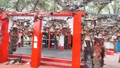 Golu Devta Temple