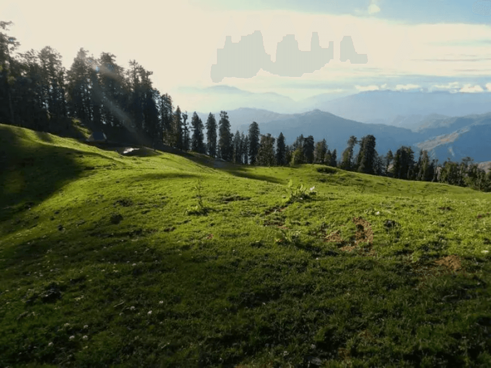 Mundali Meadow