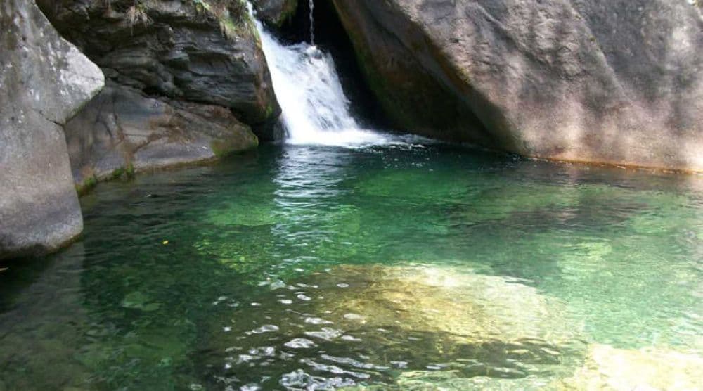 Subhash Dhara