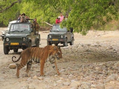 Doodhatoli Wildlife Sanctuary