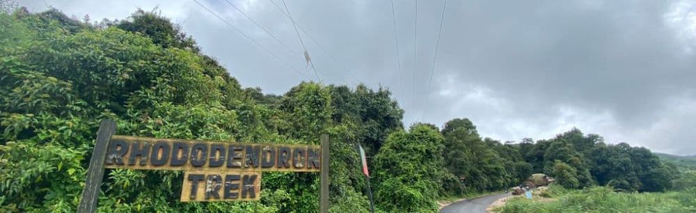 Rhododendron Park