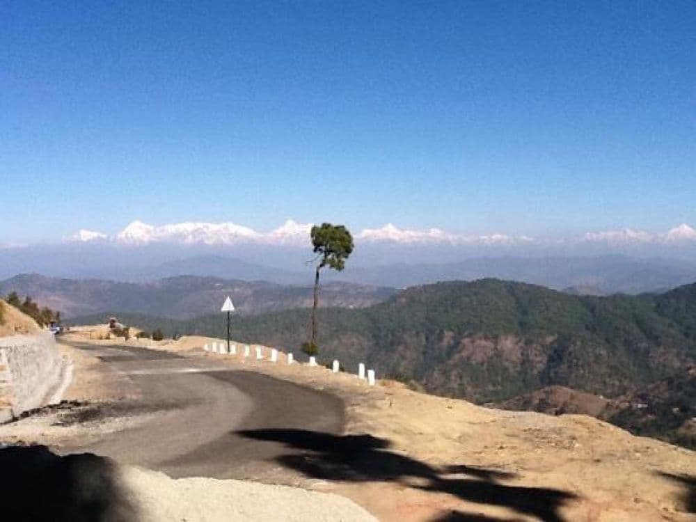 Mukteshwar Orchards