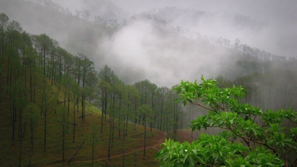 Khali Estate