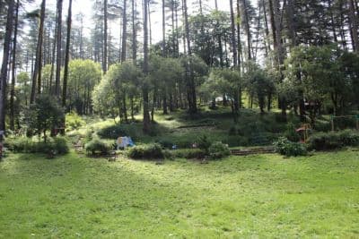 Eco Park