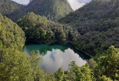 Garud Tal