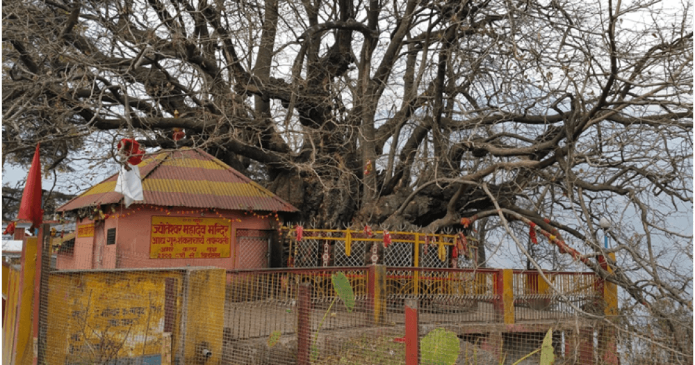 Kalpavriksha