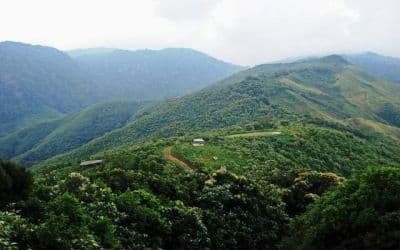 Nokrek National Park