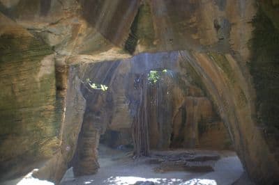 Naida Caves
