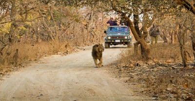 Gir National Park and Wildlife Sanctuary