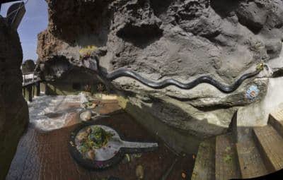Gangeshwar Temple