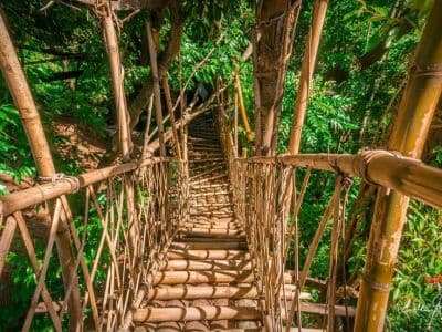 Sky Walk Mawlynnong