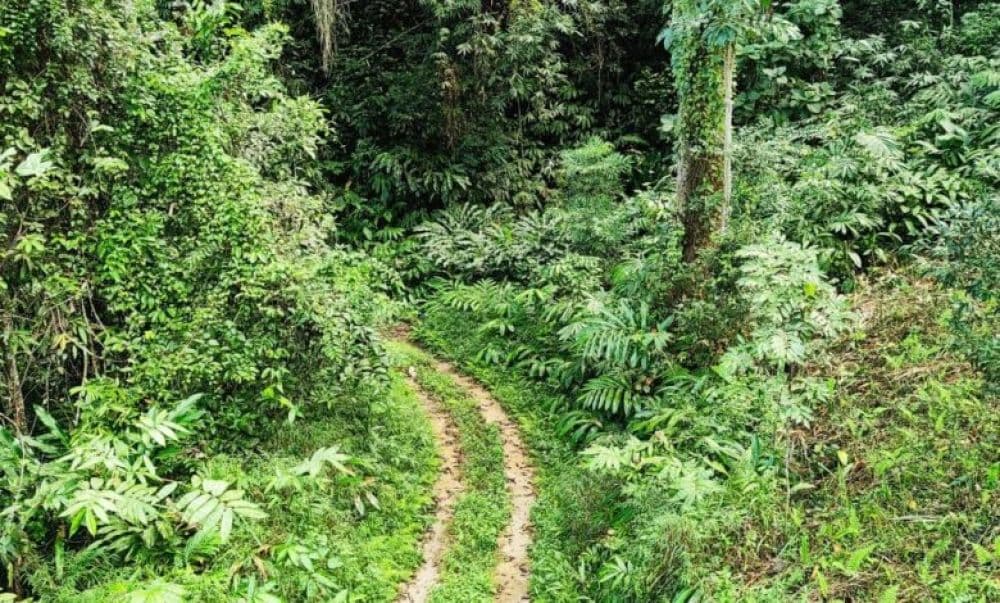 Nongkhyllem Wildlife Sanctuary