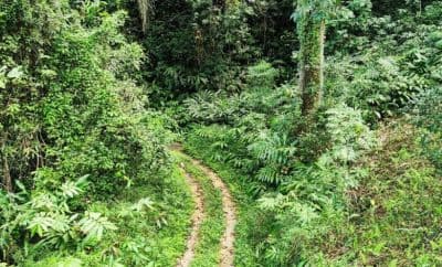Nongkhyllem Wildlife Sanctuary