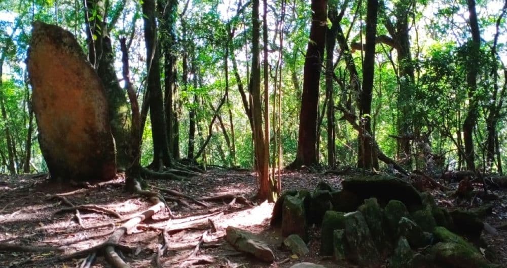 Mawphlang Sacred Forest