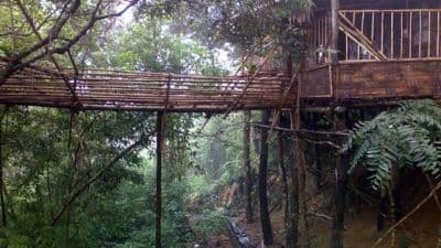 Sky Walk Mawlynnong