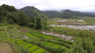 Ialong Park