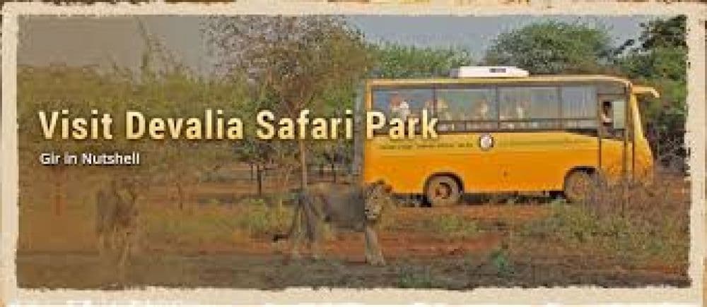 Devalia Safari Park