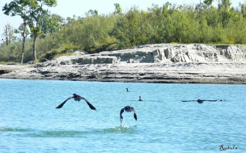 DibruSaikhowa National Park
