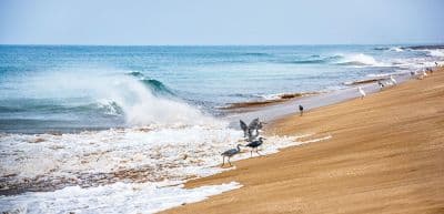 Porbandar Beach