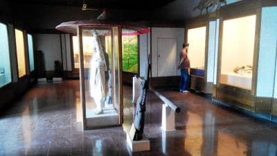 Ahom Museum