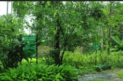 Jokai Botanical Garden Reserve Forest