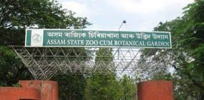 Assam State Zoo cum Botanical Garden