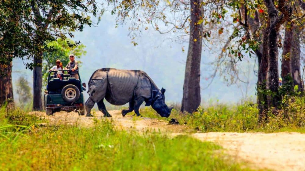 Jeep Safari Tours