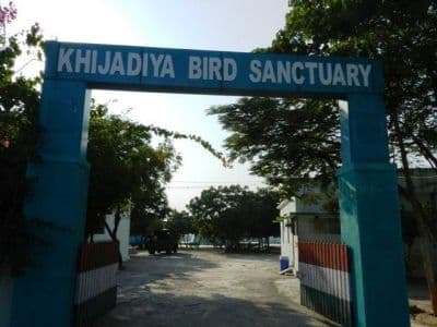 Khijadiya Bird Sanctuary