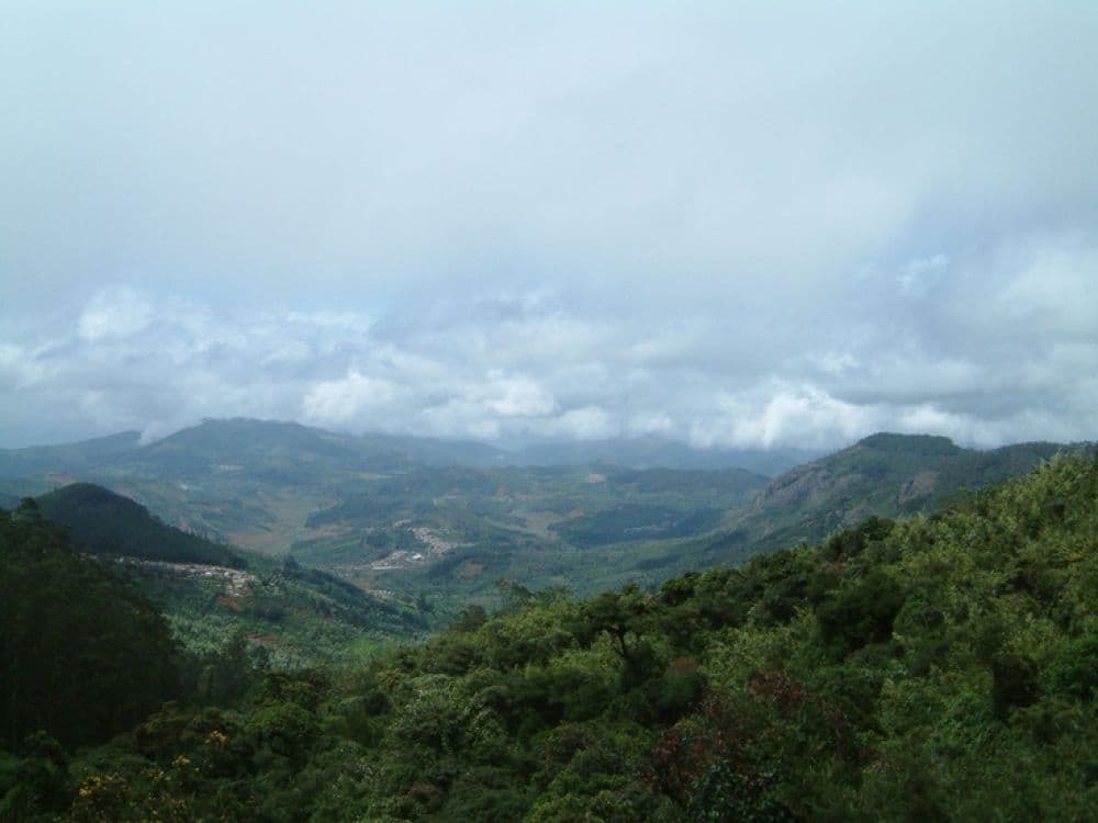 Maibong