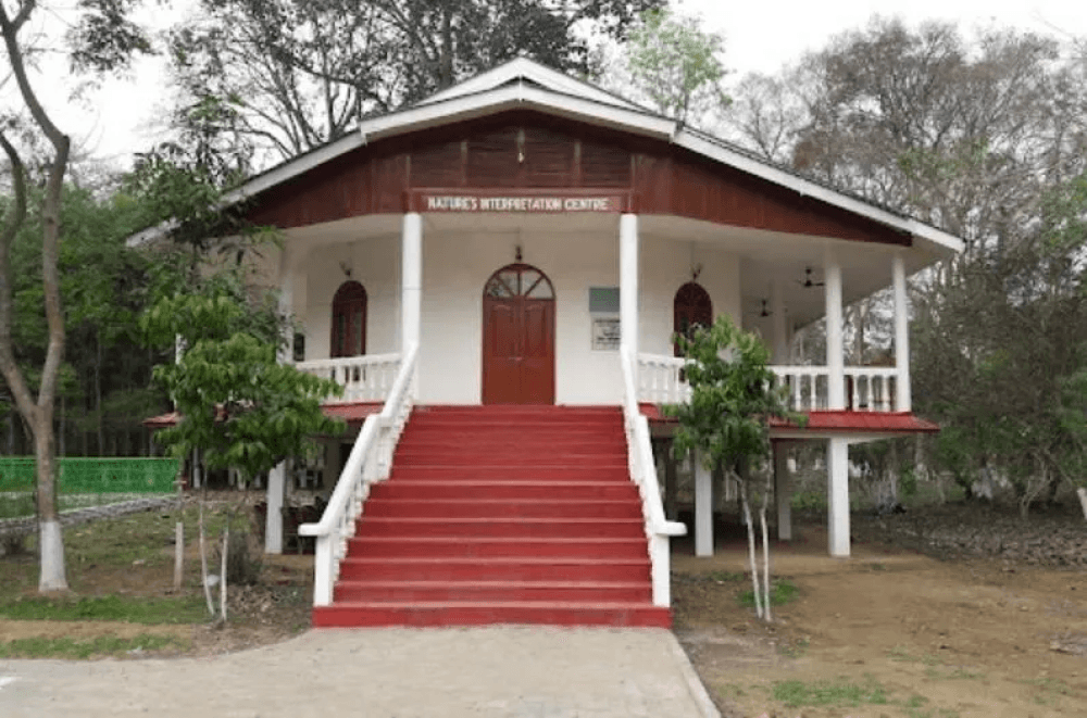 Jokai Botanical Garden Reserve Forest