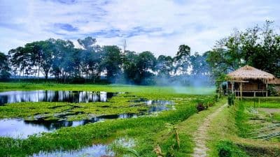 Majuli Island