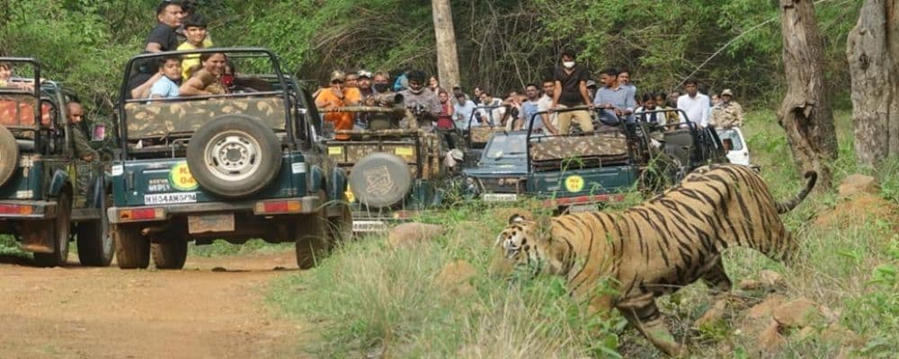 Mudumalai National Park