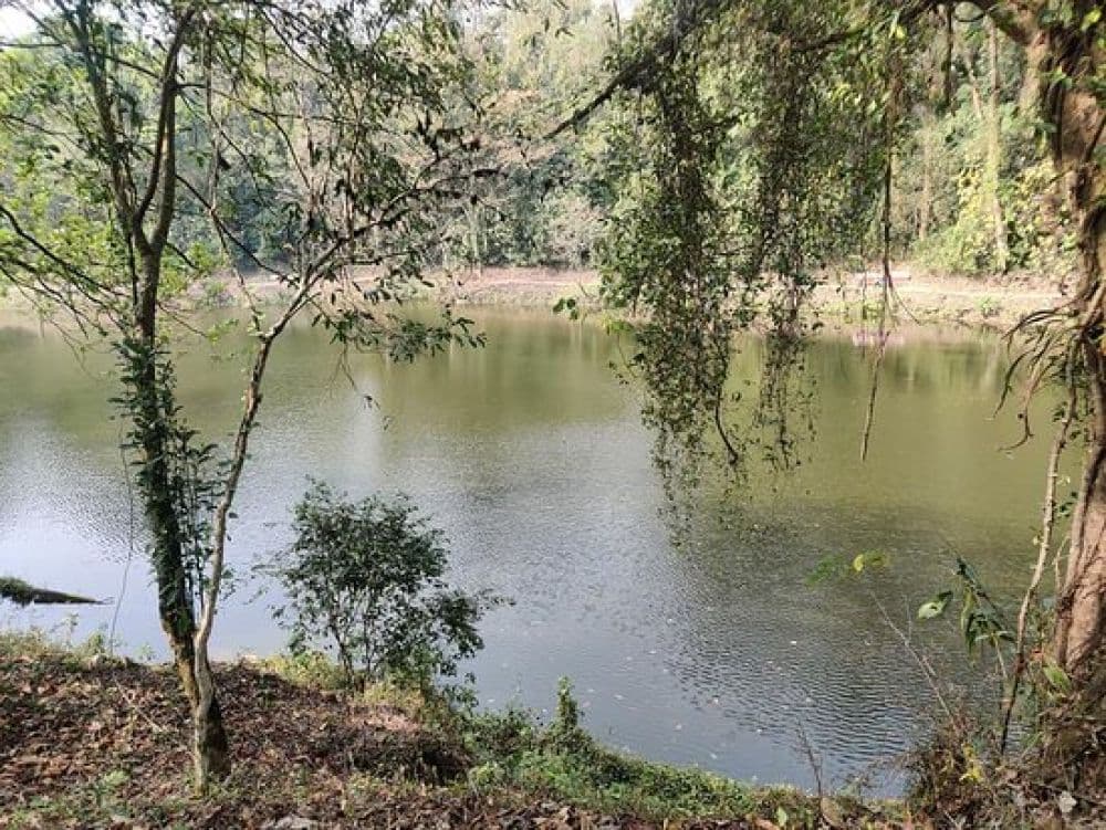 Sally Lake