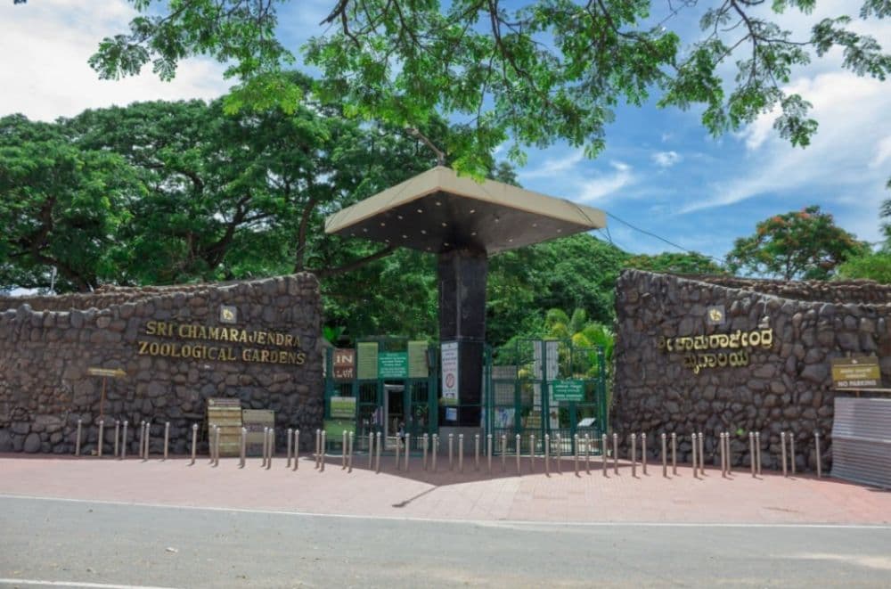 Mysore Zoo (Sri Chamarajendra Zoological Gardens)