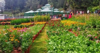 Ooty Botanical Gardens